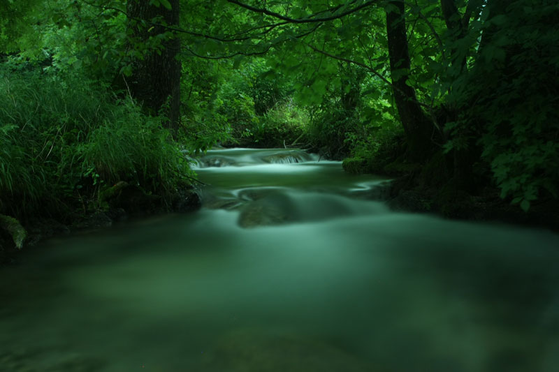 Blurred water movement on a forest creek