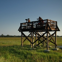 Observation tower