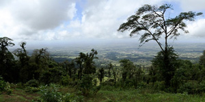 Cerro chato