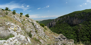 Eagles Gorge