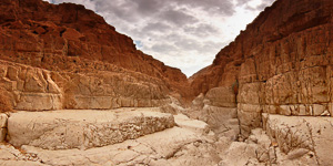 Ein Gedi