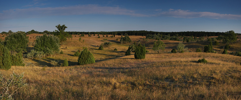 Kiskunsag Kiskunsag
