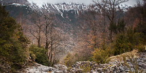 Pyrenees