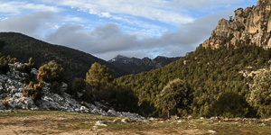 Sierra de Grazalema