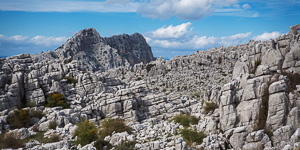 Sierra de Grazalema