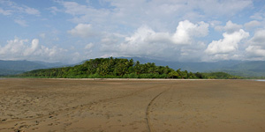 Bahia ballena