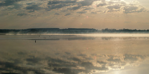 Federsee